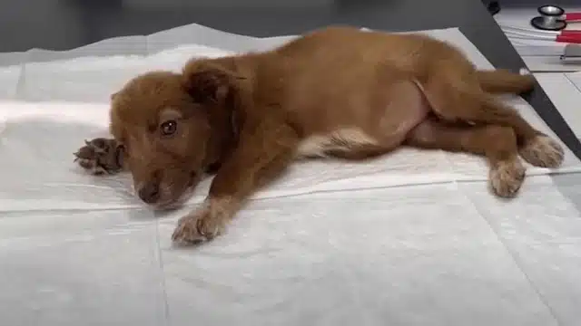 By the time two months had passed, Alice...