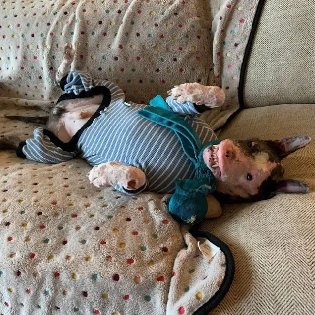 Currently, Phoenix continues his medical...