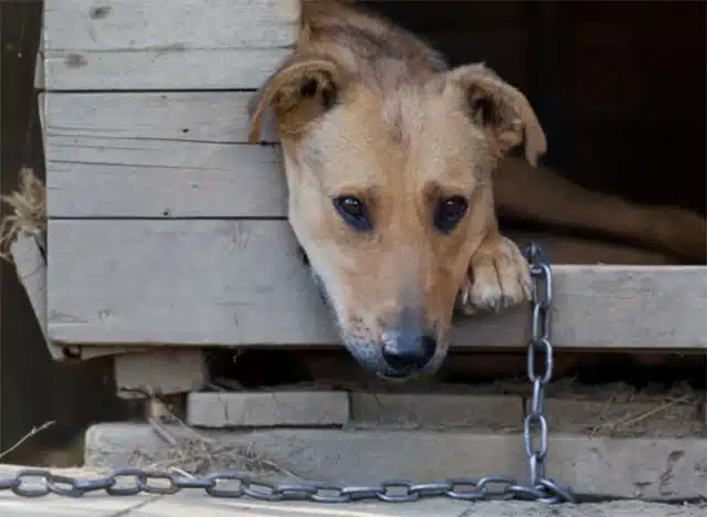 Driven by a sense of urgency, I decided ...