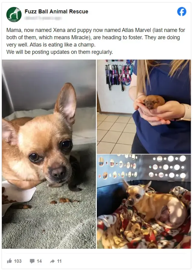 To ensure her survival and that of her p...