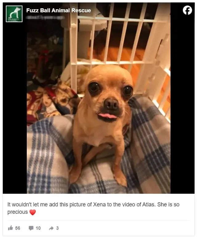 Extra image from article