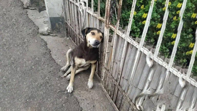 Extra image from article