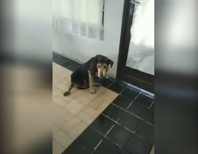 Extra image from article