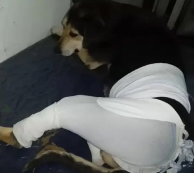 Extra image from article