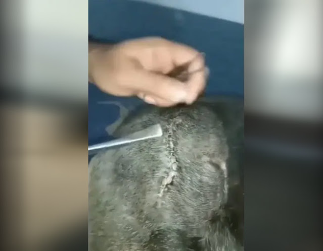 Extra image from article