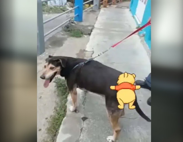 Extra image from article