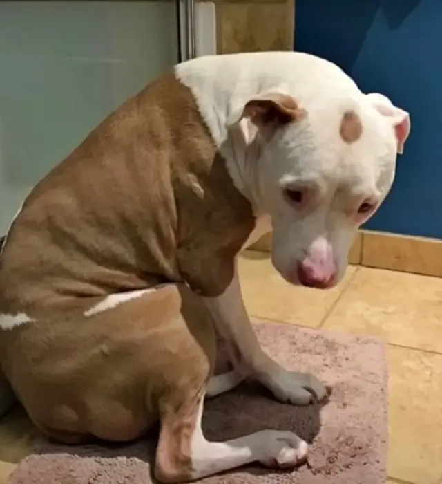 Interestingly, Hero prefers relaxation o...