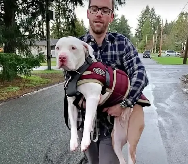 Extra image from article