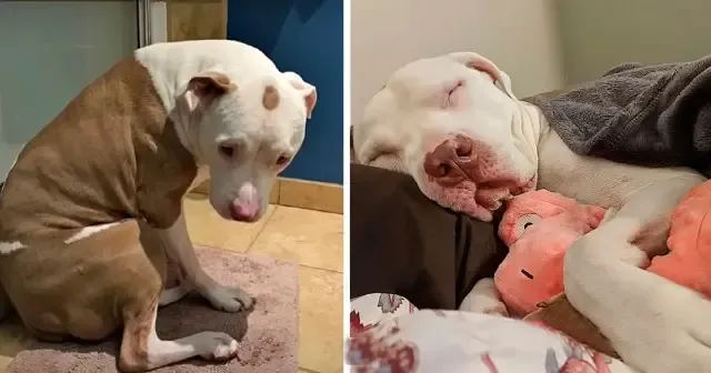 Sarah, who volunteers to support homeles...