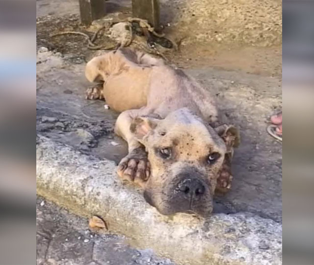 Extra image from article