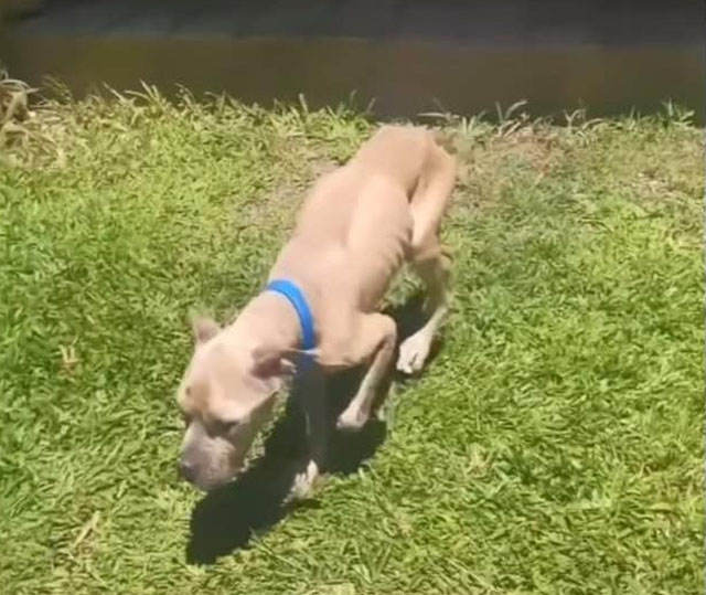 Extra image from article