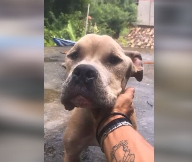 Extra image from article