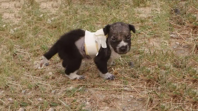 By the second day, signs of hope began t...