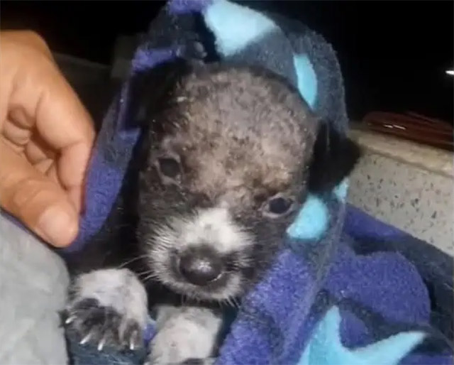 Extra image from article