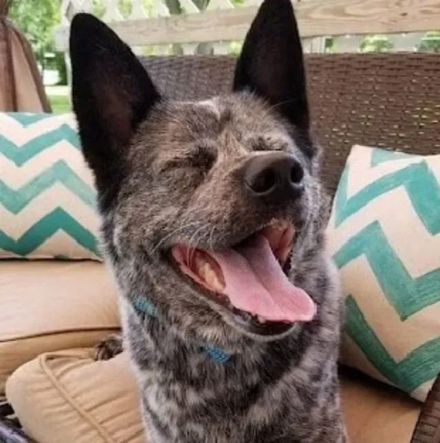 Extra image from article