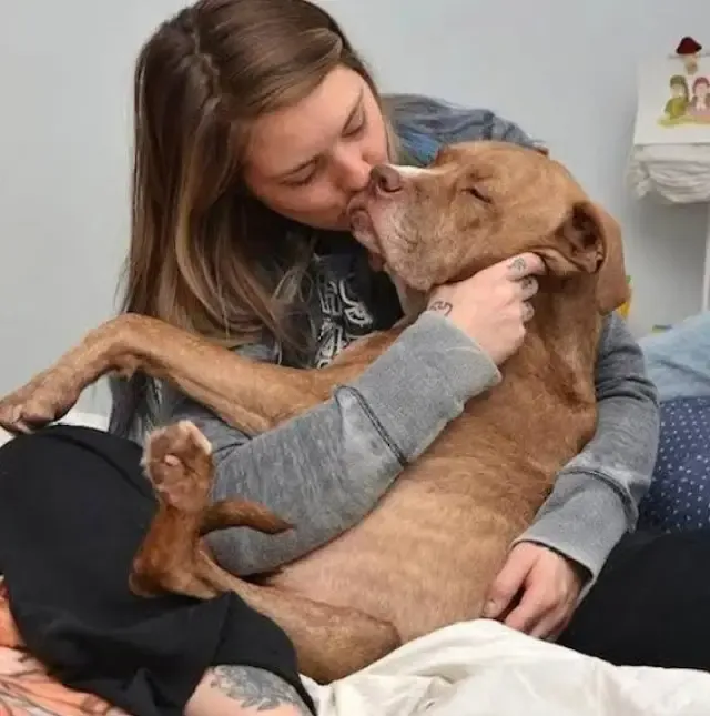 Extra image from article