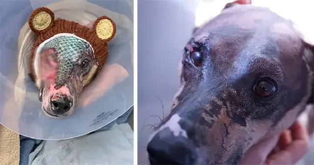 Fortunately, Archer was located shortly ...