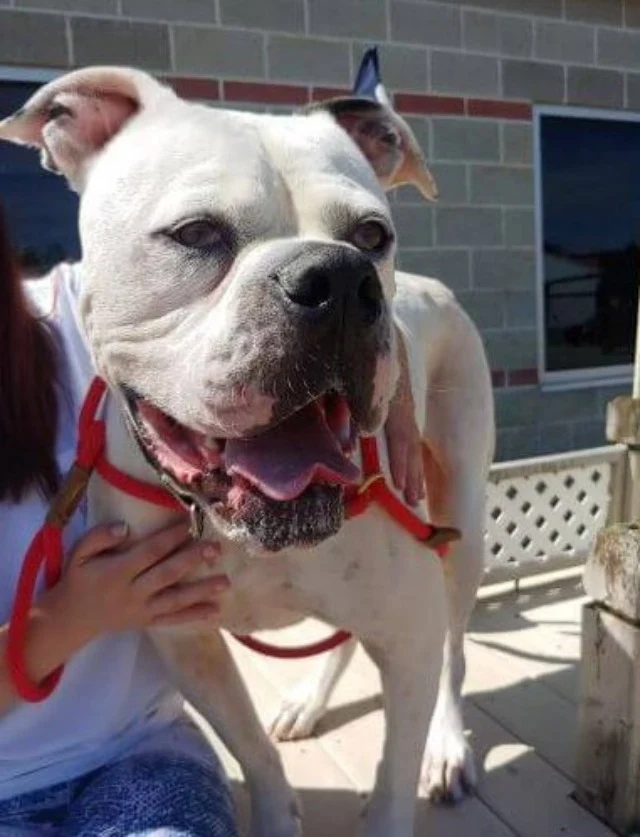 On Thursday, after completing the necess...