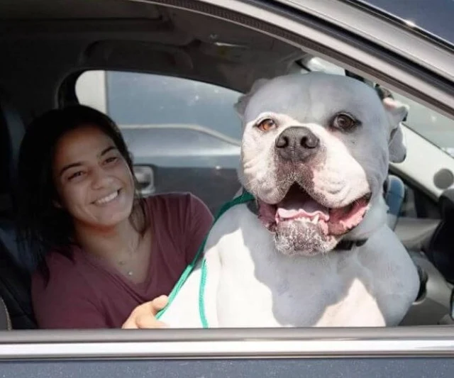 Extra image from article