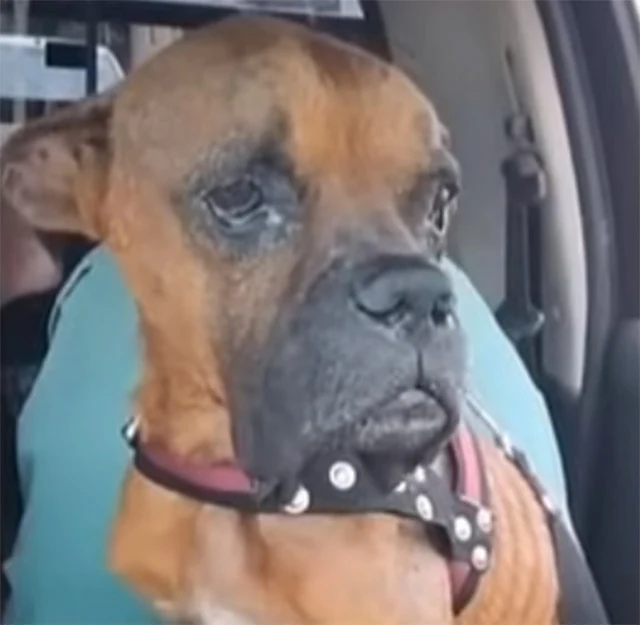 Extra image from article