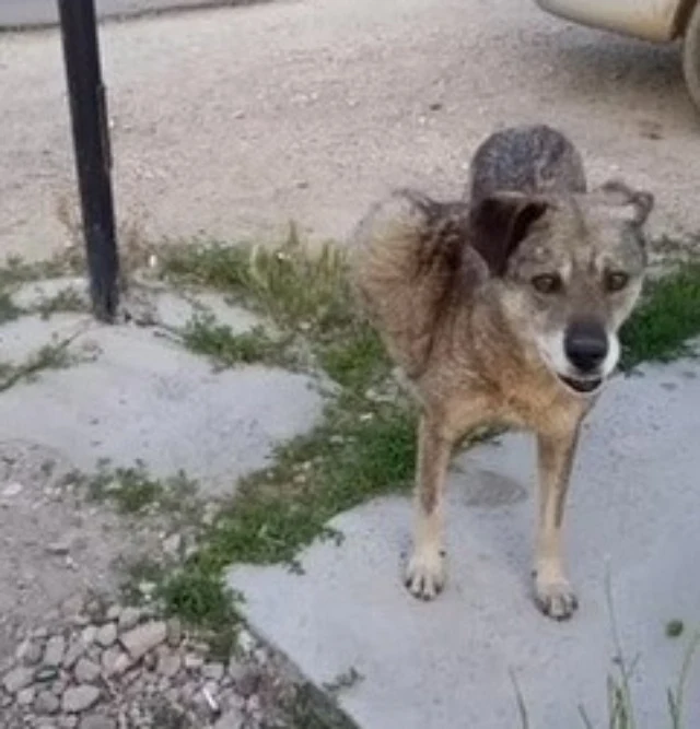 A week after the procedure, it turned ou...