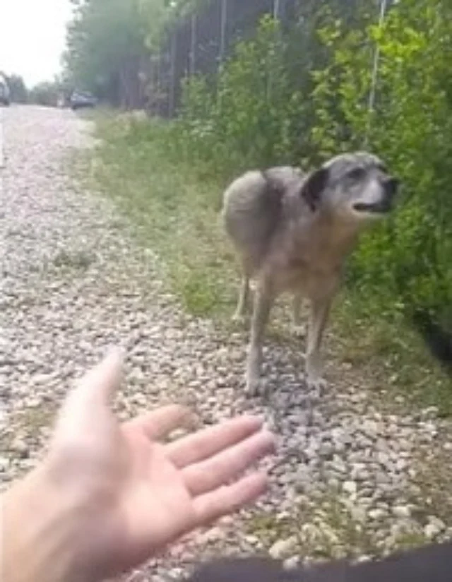 Feel free to share this heartwarming sto...