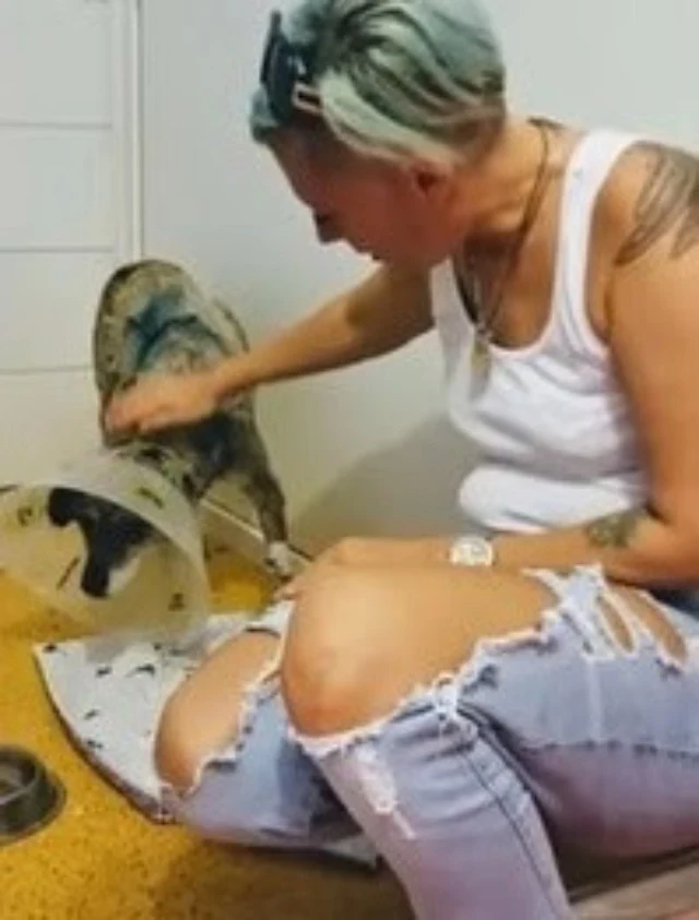 Extra image from article