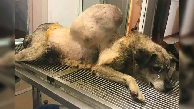 Capturing her was quite an adventure. Af...