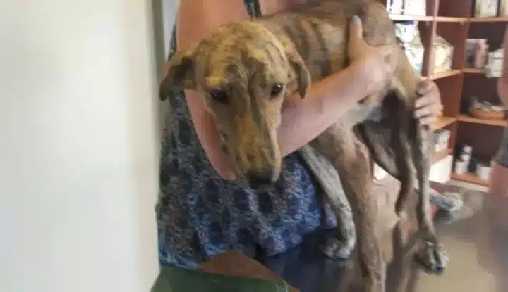 Extra image from article