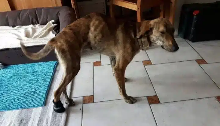 Extra image from article