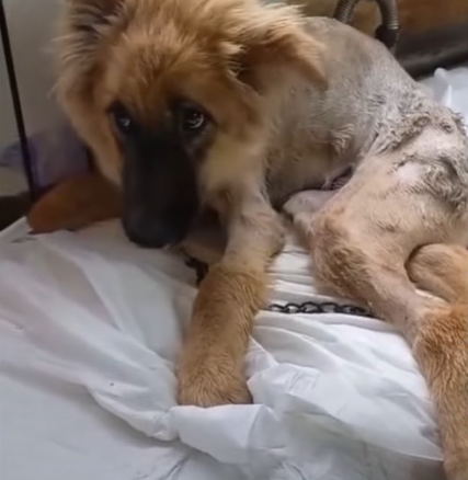 Extra image from article