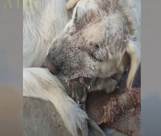 Extra image from article