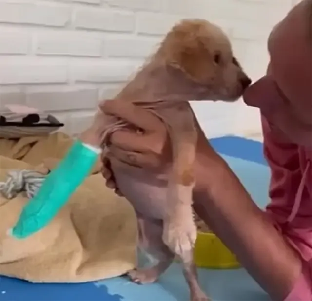 Extra image from article