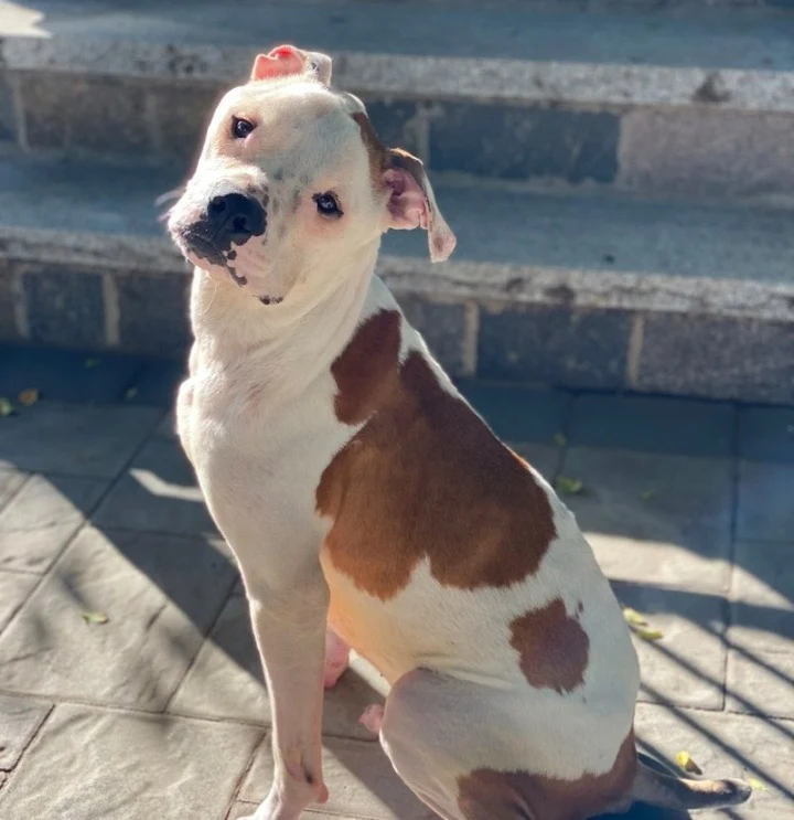 Extra image from article