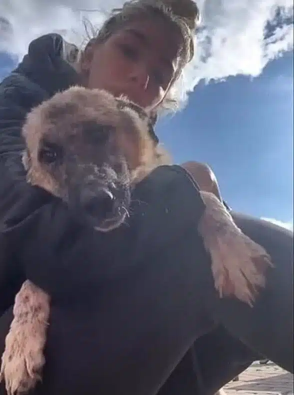 His human friends celebrated the remarka...