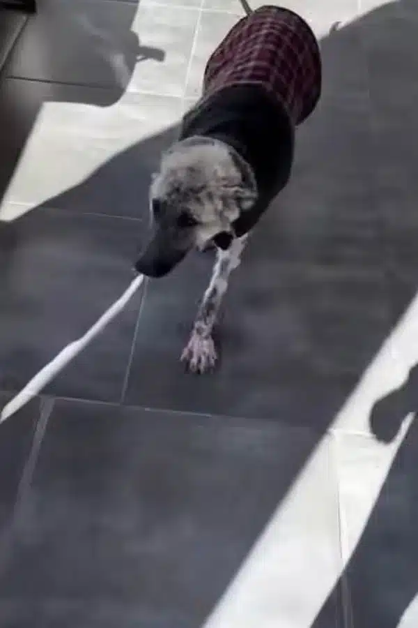 Copor, we are proud of the progress you'...