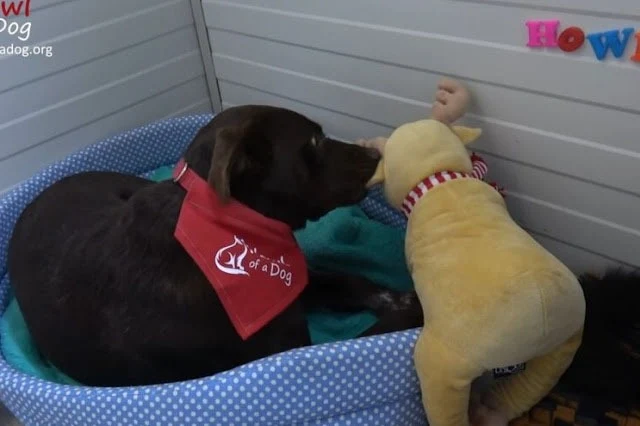 Extra image from article