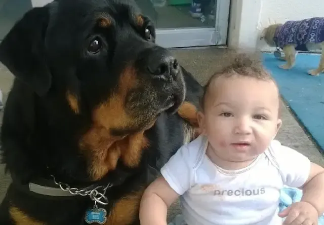 Extra image from article