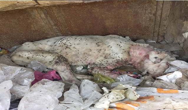 The thought of receiving a gentle touch ...