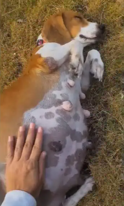 Extra image from article