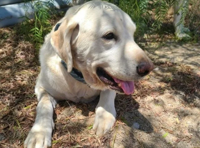 Extra image from article