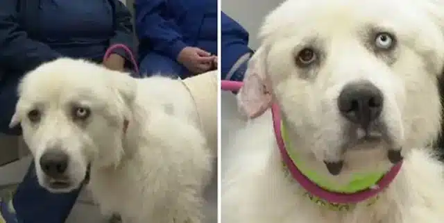 Extra image from article