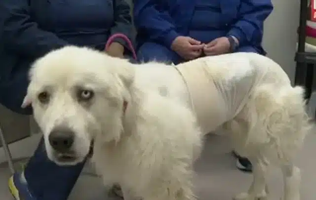 Extra image from article