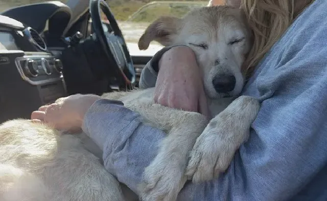 Extra image from article