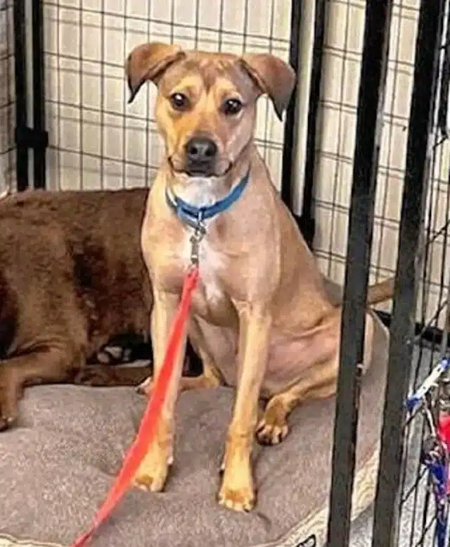 Extra image from article