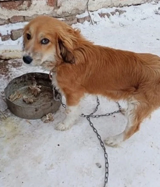 Extra image from article