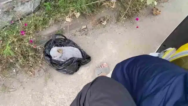 A pivotal moment marked her transformati...