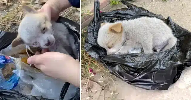 Amid life's challenges, this woman exemp...