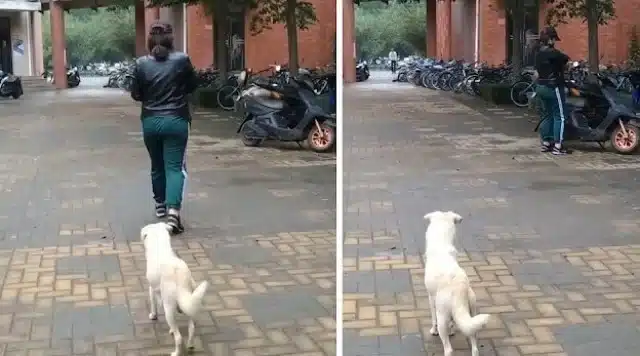 The touching farewell has resonated deep...