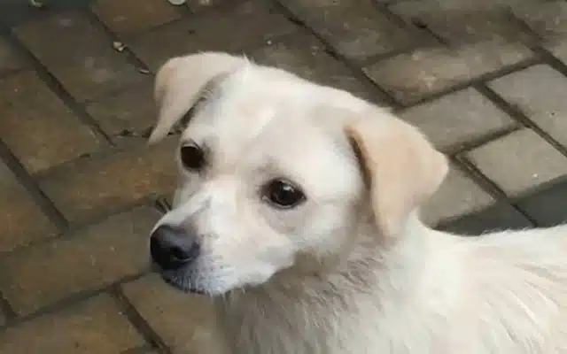 Extra image from article